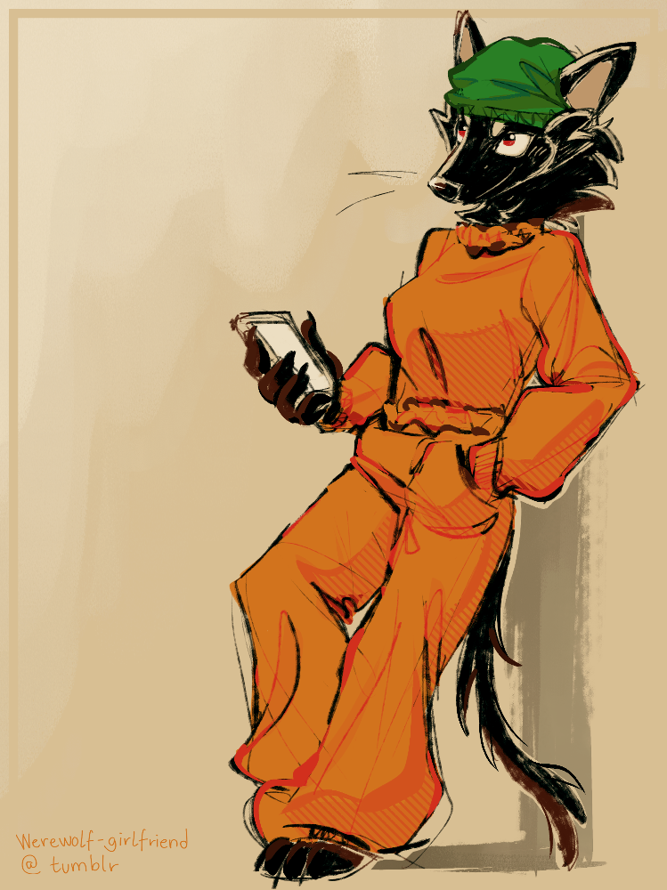 A digital drawing of a black anthropomorphic fox wearing an orange jumpsuit and a green beanie.